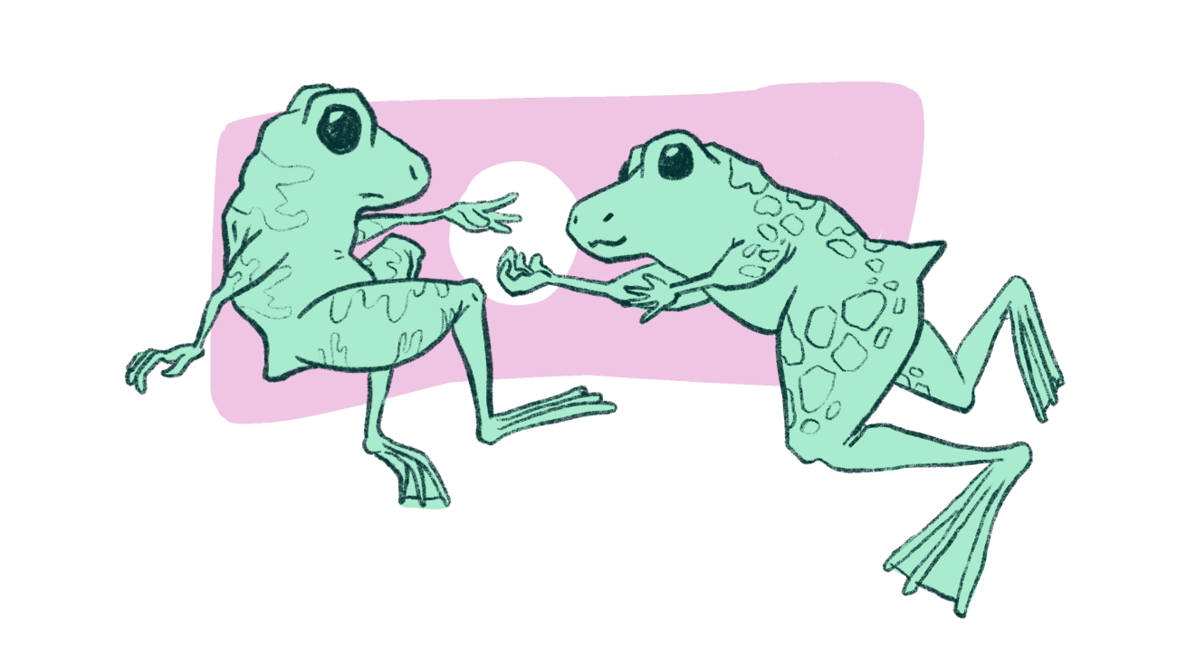 two frogs about to hold hands